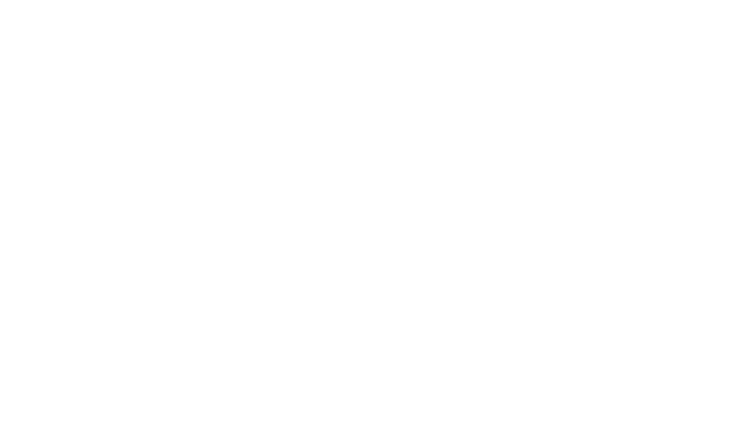 Raiz Forte